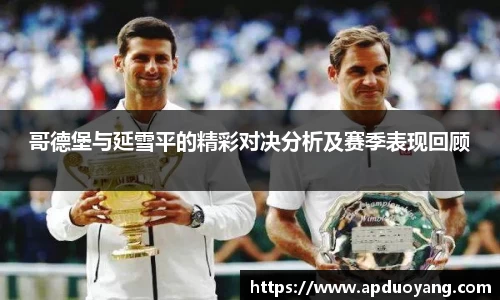 哥德堡与延雪平的精彩对决分析及赛季表现回顾